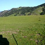 Ranches and Farms 3125