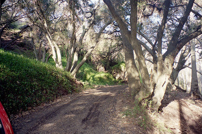 Ranches and Farms 3140