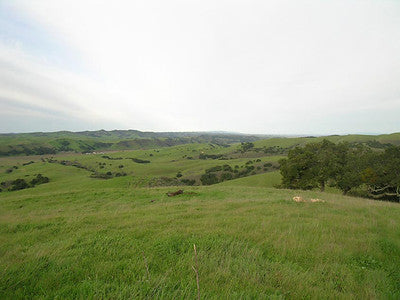 Ranches and Farms 3173