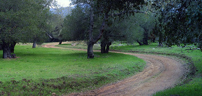 Ranches and Farms 3301