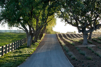 Ranches and Farms 3027