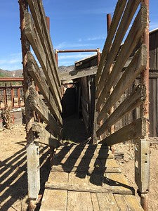 Barns 0054