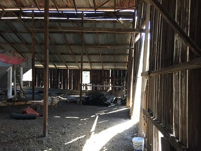 Barns 0054