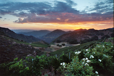 Ranches and Farms 3129