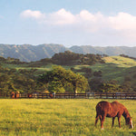 Ranches and Farms 3241