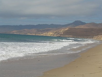 Beaches 8100