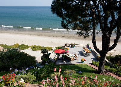 Beach Properties Looks Like Northern California