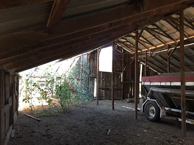 Barns 0054