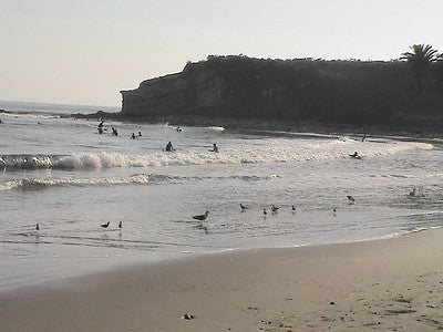 Beaches 8200