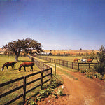 Ranches and Farms 3241