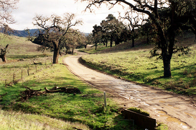Ranches and Farms 3140