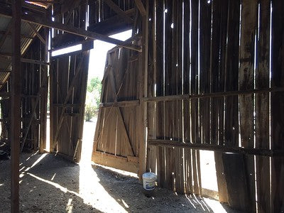 Barns 0054
