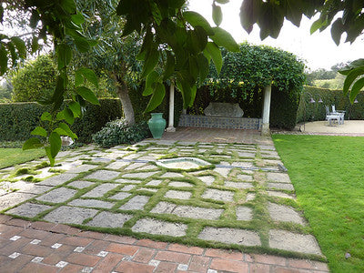 Estates 1082