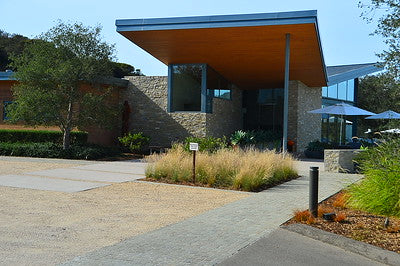Vineyards & Wineries 1098 (Santa Maria) Tasting Room