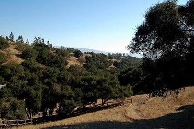 Ranches and Farms 3179