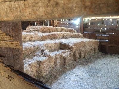 Barns 0138
