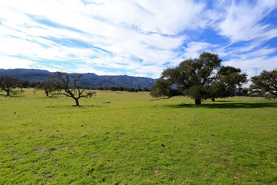 Ranches and Farms 3295
