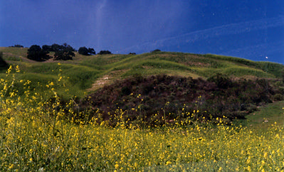 Ranches and Farms 3140
