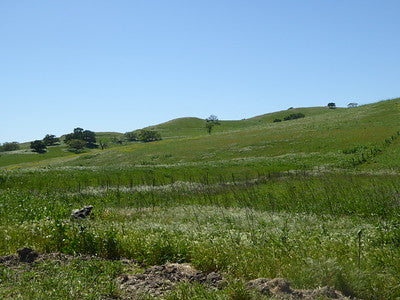 Ranches and Farms 3048