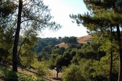 Ranches and Farms 3179