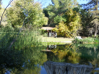 Ranches and Farms 3063
