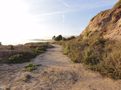 Beaches 8203