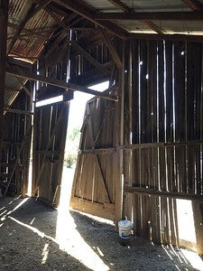 Barns 0054