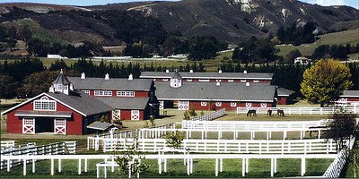 Ranches and Farms 3153