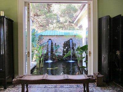 Exotic Tropical Zen Whimsy 2176