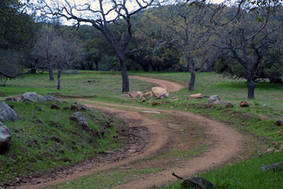 Ranches and Farms 3301