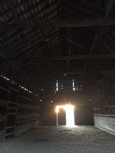 Barns 3917 (Santa Ynez)