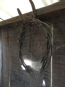 Barns 0054
