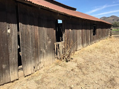 Barns 0054