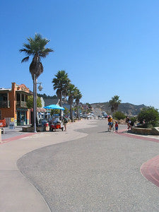Beaches 8003