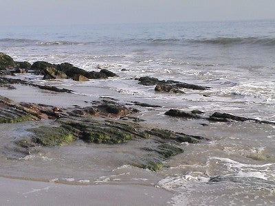 Beaches 8060
