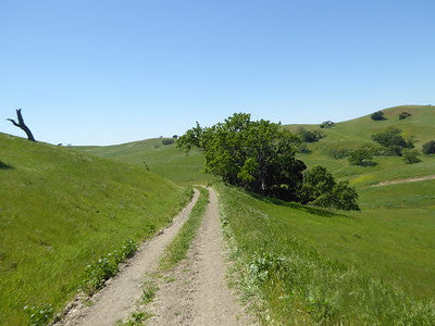 Ranches and Farms 3048