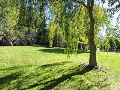 Lakes-Ponds 3063 (SY)