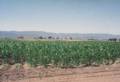 Ranches and Farms 3239