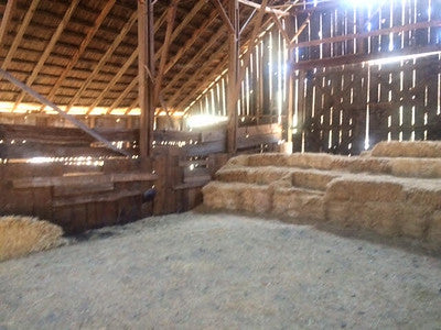 Barns 0138