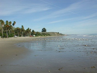 Beaches 8200