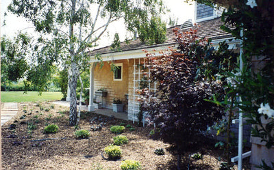 Ranches and Farms 3069