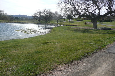 Ranches and Farms 2235