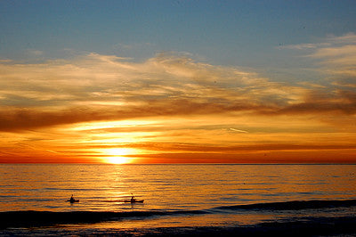 Beaches 8050