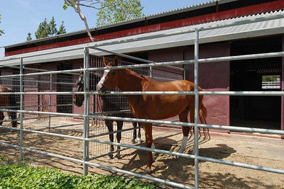 Ranches and Farms 3237