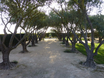 Country Houses 0084 (Santa Ynez)
