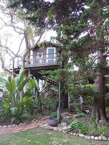 Beach Properties 1746