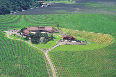 Wineries 3835