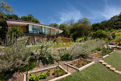 Modern Homes 0090