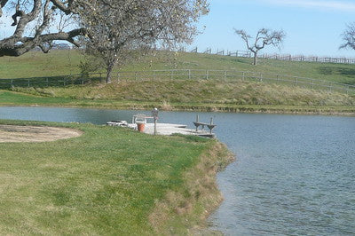 Ranches and Farms 2235