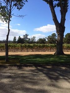 Wineries 3808